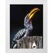 Williams Joanne 12x14 White Modern Wood Framed Museum Art Print Titled - South Kruger NP Yellow-billed hornbill on tree