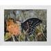 Lynnsy B. 14x12 White Modern Wood Framed Museum Art Print Titled - Butterfly in Nature IV