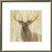 Loon Peak® Wildlife, Birds & Animals 'Forest King' Framed Painting Print Canvas in Gray/Green | 19.6" H x 19.6" W | Wayfair