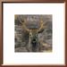 Loon Peak® Wildlife, Birds & Animals 'The Leader Gold' Framed Painting Print Canvas in Gray/Green | 17.6" H x 17.6" W | Wayfair