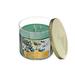 Symple Stuff Christmas 14 Oz 3 Wick Jar Candle Ever - Set Of 2 in Green | Wayfair 9176F27CA0E444D4B5DBD050142A810B