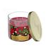 The Holiday Aisle® Christmas 14 Oz 3 Wick Jar Candle Cranberry Woods - Set Of 2 in Red | Wayfair 15CA6068A8B54CEBA12DD568AFECC8F4