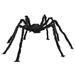 The Holiday Aisle® Halloween Decor Hairy Spider,75Cm(29.53In) in Black | 49.21 W in | Wayfair 55016DCC56DB419A886118C6FA63B977