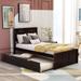Twin Size Platform Storage Bed with Twin Trundle, Wood Bedframe, No Spring Box Required
