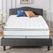 Queen Medium Firm 8" Foam Mattress - Spinal Solution PC440-3/3 8 Regular | 80 H x 60 W D in Wayfair PC44099-5/0-2lps