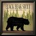 Loon Peak® Take A Hike Bear Black Bear Stout By Ryan Fowler, Framed Wall Art, Glass in Black/Green | 11.6" H x 11.6" W x 1.5" D | Wayfair