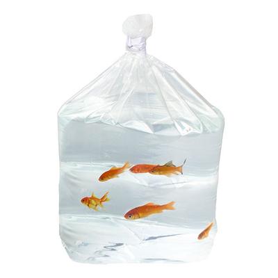 Heavy Duty Square Bottom Waterproof Bags for Selling Tropical Fish & Shipping Fish in Polystyrene Boxes Size 6" x 4" x 18" 100 Bags