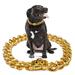 Gold Chain Dog Collar Dog Chain Collars for Large Dogs 21mm Thick Wide Gold GOG Collar Stainless Steel Metal Dog Chain with Safety Buckle 18K Dog Cuban Link Dog Collar Chew Proof & Druable
