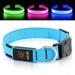 Bpawser LED Dog Collar Light Up Dog Collars USB Rechargeable Adjustable Size Heavy Duty Nylon Webbing Glow Safety Basic Dog Collars for Large Medium Dogs (L Royal Blue)