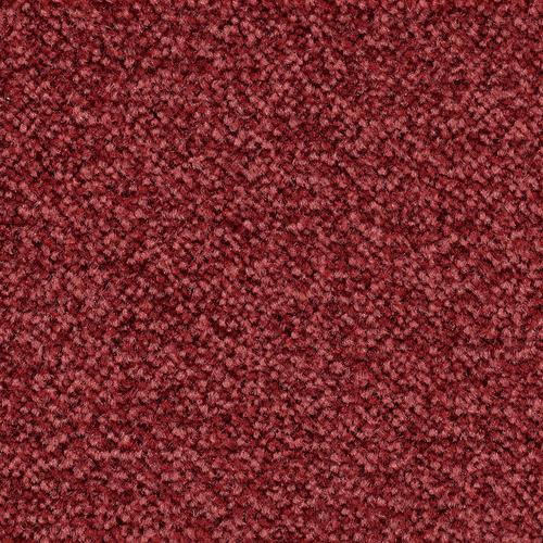 „BODENMEISTER Teppichboden „“Veloursteppich Juno““ Teppiche Wohnzimmer, Schlafzimmer, Kinderzimmer, Breite 400500 cm Gr. B/L: 400 cm x 400 cm, 8,5 mm, 1 St., rot Teppichboden“