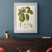 August Grove® Porterfield Vintage Pears IV Framed On Canvas Print Canvas in Black/Blue/Green | 25 H x 21 W x 2.5 D in | Wayfair