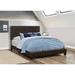 Coaster Furniture Dorian Upholstered Bed