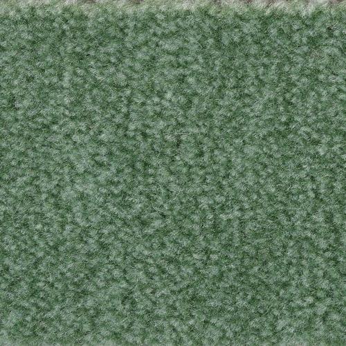 „BODENMEISTER Teppichboden „“Veloursteppich Jupiter““ Teppiche Wohnzimmer, Schlafzimmer, Kinderzimmer, Breite 400500 cm Gr. B/L: 400 cm x 800 cm, 7,5 mm, 1 St., grün Teppichboden“