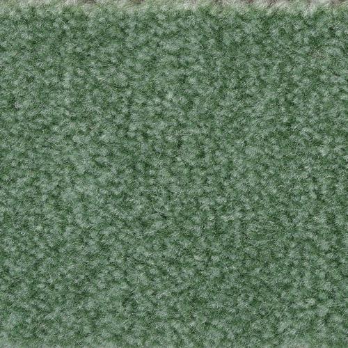 „BODENMEISTER Teppichboden „“Veloursteppich Jupiter““ Teppiche Wohnzimmer, Schlafzimmer, Kinderzimmer, Breite 400500 cm Gr. B/L: 500 cm x 300 cm, 7,5 mm, 1 St., grün Teppichboden“