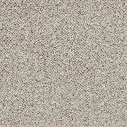 „BODENMEISTER Teppichboden „“Veloursteppich Juno““ Teppiche Wohnzimmer, Schlafzimmer, Kinderzimmer, Breite 400500 cm Gr. B/L: 500 cm x 250 cm, 8,5 mm, 1 St., grau (hell, beige) Teppichboden“