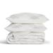 Birch Lane™ Feba 100% Cotton Pillow Sham 100% Cotton | 20 H x 26 W in | Wayfair 3115DCE44B23461897D0C0A680018CC0