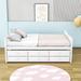 Wildon Home® Ajavian Full Size Three Drawers Wooden Daybed w/ Twin Size Trundle Wood in White | 31 H x 57 W x 79 D in | Wayfair