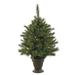 Vickerman 22226 - 3.5' x 28" Artificial Cashmere Pine Battery Operated 50 Warm White Italian LED Lights Christmas Tree (A118536LED)