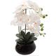 White Orchid Flower Arrangement in Vase, 19 Detailed Silk Orchid Flower Heads, Decorative Black Ceramic Vase, Vibrant Green Foliage, Realistic Soil, Roots and Green Bulbs, 18 Inch Phalaenopsis Decor