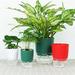 DYHF Round Resin Self Watering Hydroponic Pot Flower Plant Pot for Indoor Plants Automatic Water-Absorbing Double-Layer Water Storage Plastic Flower Planter Pot with Absorbent Cotton Rope