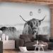 Foundry Select Areesha Smooth Wall Mural Non-Woven in Black/White | 4.92 W in | Wayfair FE8CBEAC635E4256853F9B4A2771F97C