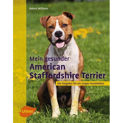 Mein gesunder American Staffordshire Terrier - Robert Williams