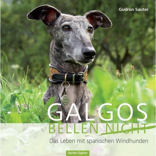 Galgos bellen nicht – Gudrun Sauter