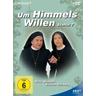 Um Himmels Willen - Staffel 7 DVD-Box (DVD) - Studio Hamburg Enterprises
