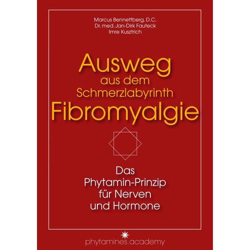 Ausweg aus dem Schmerzlabyrinth Fibromyalgie – Imre Kusztrich, Marcus Bennettberg, Jan-Dirk Fauteck