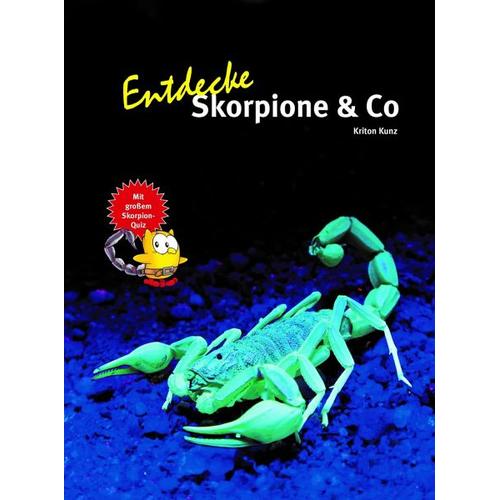 Entdecke die Skorpione – Kriton Kunz