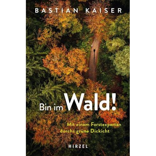 Bin im Wald! – Bastian Kaiser