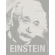 Einstein: The Man and his Mind - Gary Berger