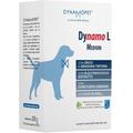 Dynamopet Dynamo L Medium 20x10 g Polvere per soluzione orale