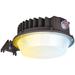 TORCHSTAR LED 3CCT Commercial Barn Light, Dimmable LED Flood Light Dusk to Dawn 120-277V, IP65 Waterproof in Brown | Wayfair F-48821