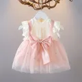 Mode Mädchen Prinzessin Vintage Kleid Tüll Kind Fliegen ärmel rosa großen Bowknot Hochzeits feier