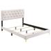 Coaster Furniture Kendall Tufted Upholstered Panel Bed White And Black/Gold