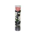 A real preserved rose everlasting rose durable rose eternal flowering rose - coral pink