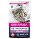 2x2kg Rich in Salmon Grain Free Kitten Eukanuba Dry Cat Food