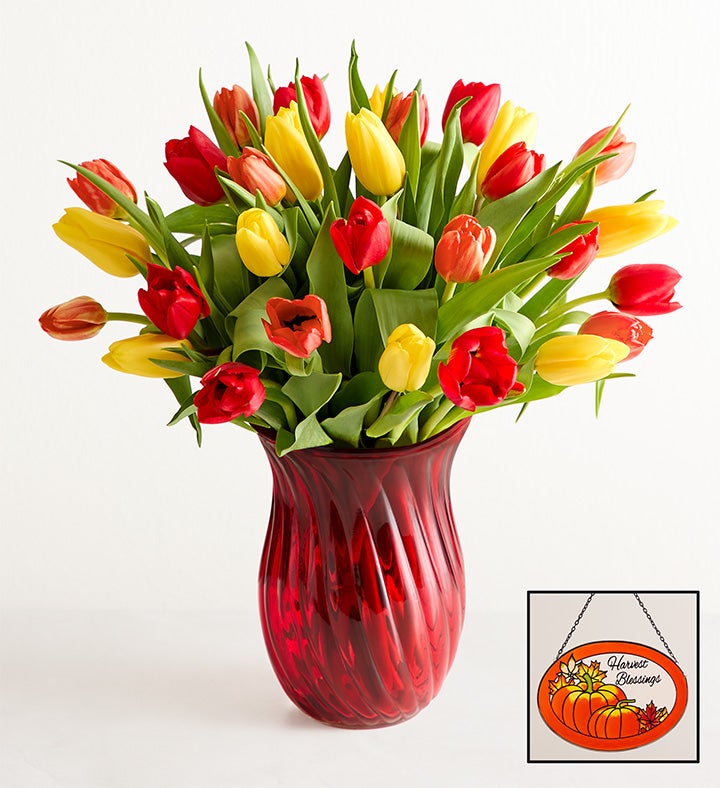 1-800-Flowers Seasonal Gift Delivery Our Favorite Fall Tulips 30 Stems W/ Red Vase & Suncatcher