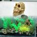 Halloween Decorations Halloween Aquarium Decorative Resin Crawler Dragon Lizards Decoration