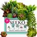 Seeko Artificial Succulents (14 Pack) - Premium Succulent Plants Artificial - Realistic Faux Succule