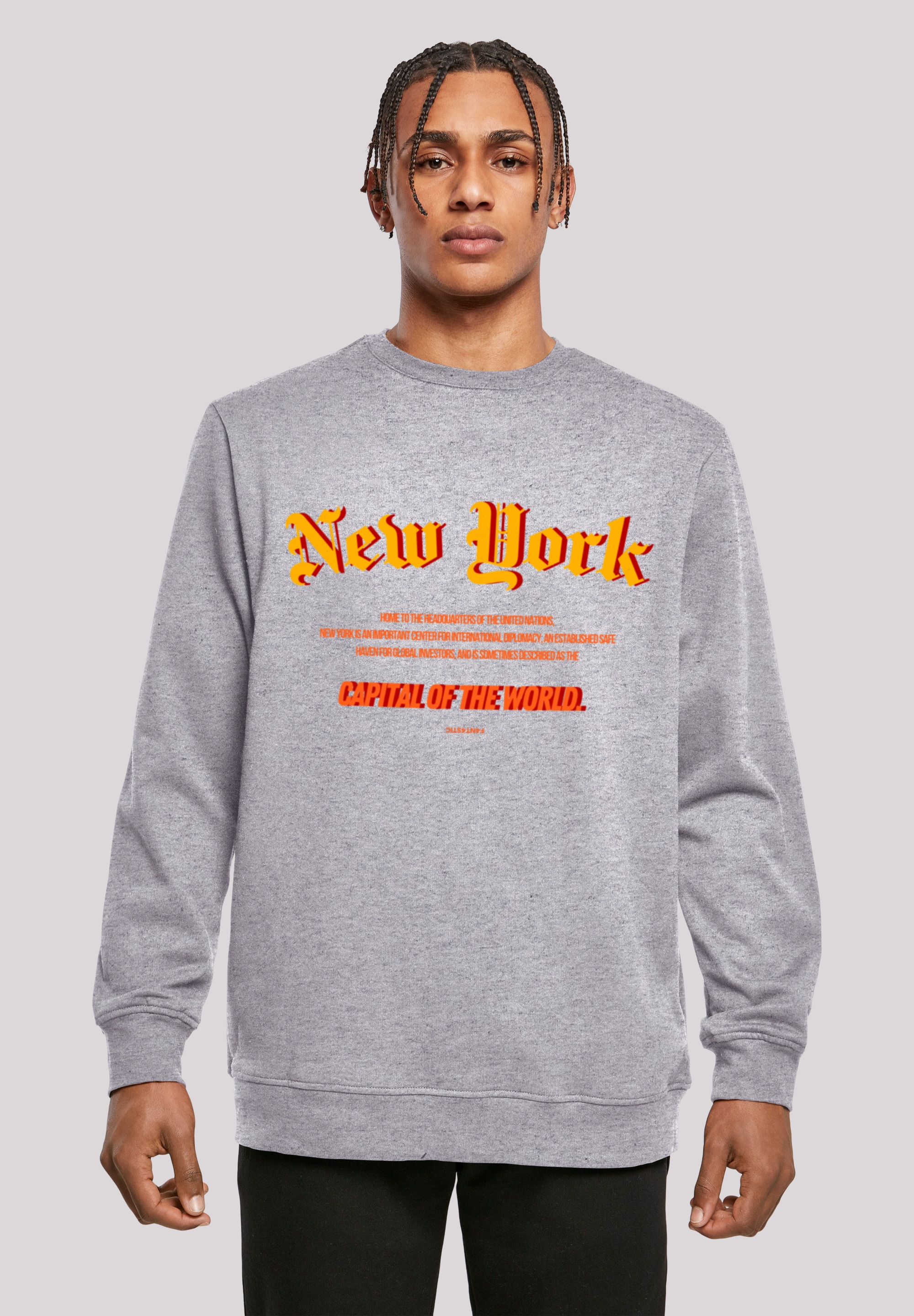 Kapuzenpullover F4NT4STIC "New York CREW", Herren, Gr. XL, grau (erdgrau), Obermaterial: 50% Baumwolle, 50% Polyester, relaxed fit, Rundhals, Pullover, Print Image