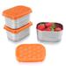Prep & Savour Amberg Food Storage Container Stainless Steel in Gray/Orange | 1.9 H x 3.8 W x 2.9 D in | Wayfair 7FAF6293EE5D4A29B46296D21598FB11