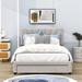 Everly Quinn Gritton Queen Drawer Velvet Platform Bed Upholstered/Velvet in Brown | 48 H x 62 W x 82 D in | Wayfair