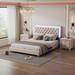 House of Hampton® Haralds Queen Upholstered Platform 3 Piece Bedroom Set Upholstered, Wood in Pink | 44.5 H x 64 W x 83.7 D in | Wayfair