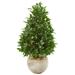 Nearly Natural 38 Bay Leaf Cone Topiary Artificial Tree in Bowl Planter UV Resistant (Indoor/Outdoor)