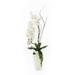 Jenny Silks Tall Real Touch White Orchid Arrangement in White Vase