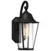 1-Light Outdoor Wall Lantern in Matte Black