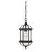 Kensington 1-Light Outdoor Hanging Lantern in Textured Black
