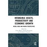 Routledge Studies in the Economics of Business and Industry: Intangible Assets Productivity and Economic Growth: Micro Meso and Macro Perspectives (Hardcover)